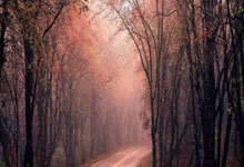 开云体育官网-C罗空降引爆鸟巢！国足争议点球逼平银河战舰