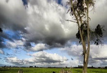 开云体育入口-凯尔特人碾压猛龙，莫里斯关键制胜助队取胜的背后秘密