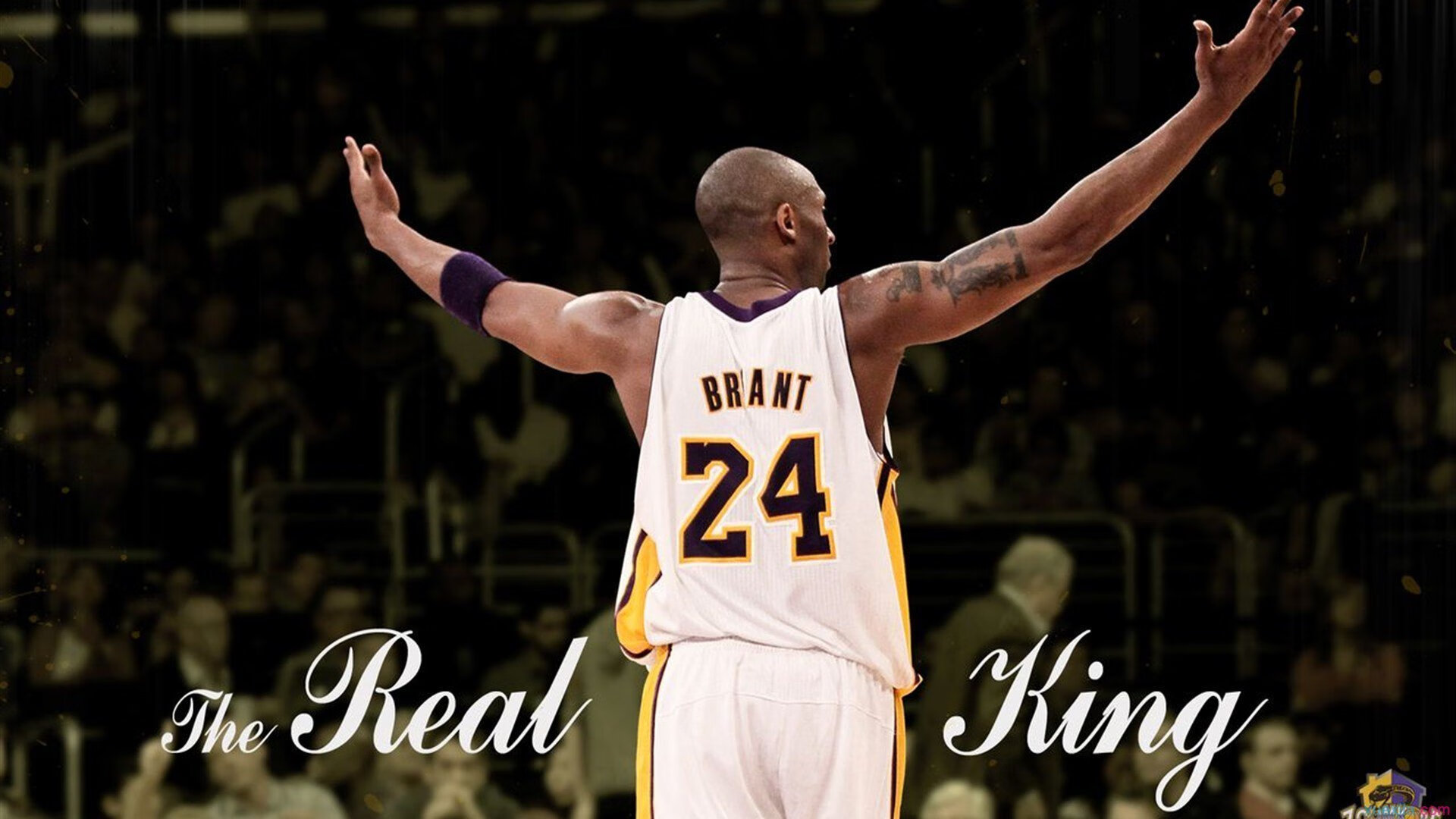 开云官网-戈贝尔抢七夜封神，一柱擎天，满分背后的唯一性